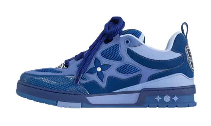 Sneaker Skate Sneaker Skate